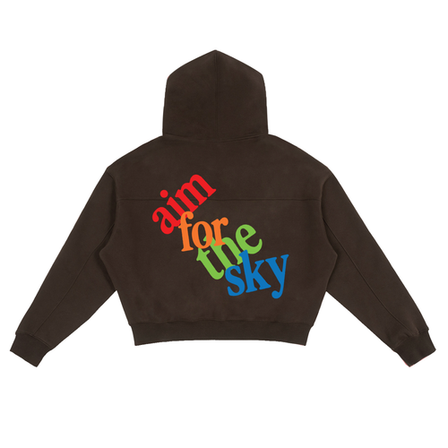 Aim For The Sky Boxy Zip-Up Hoodie (brown)