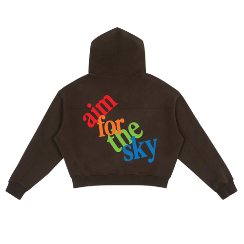 Aim For The Sky Boxy Zip-Up Hoodie (brown)